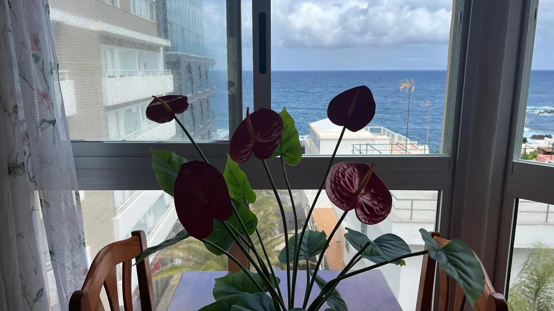 Apartamento Vista Rosmary Puerto de la Cruz  España
